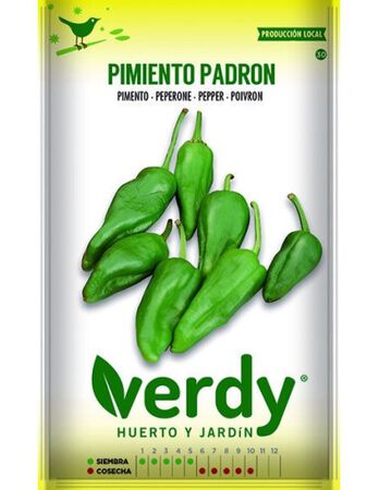 Semilla Verdy pimiento padron