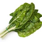 Acelga manojo 750g