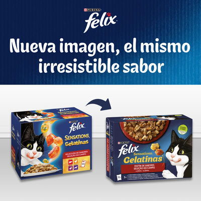 Comida h&uacute;meda gato F&eacute;lix Sensation pescados pack 4