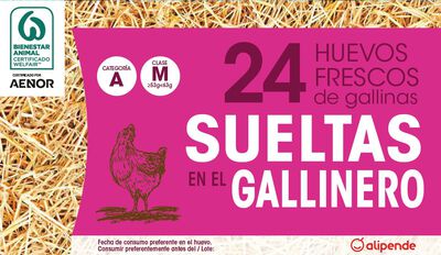 Huevos de gallinas sueltas en el gallinero Alipende 24u "clase m"
