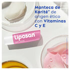 Protector labial Liposan soft rosé 24h hidratación intensa