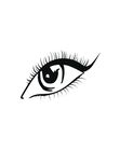Delineador de ojos Maybelline hyper precise black