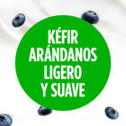Kéfir bífidus bebible sabor arándanos Danone Activia 320g