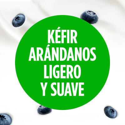 Kéfir bífidus bebible sabor arándanos Danone Activia 320g