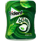 Chicles de hierbabuena sin az&uacute;car Trident 68,2g