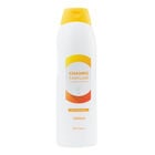 Champú Bodyplus 1,25l familiar