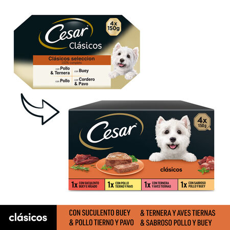 Comida húmeda perro César patés clásicos pack 4