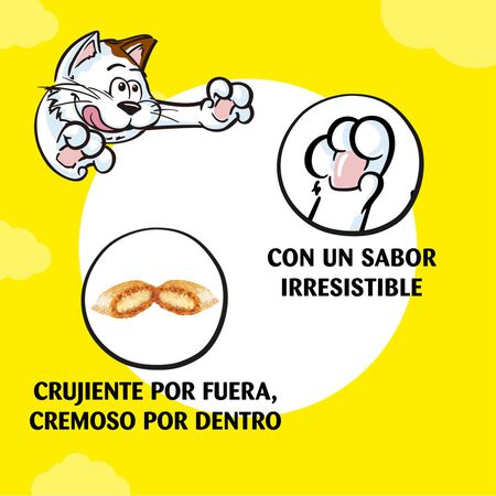 Snack gato Catisfactions pollo 60g