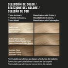 Tinte Para El Cabello Revlon Colorstay Nº 8 Rubio Claro