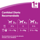 Comida húmeda gato Whiskas gelatina pescado pack 4