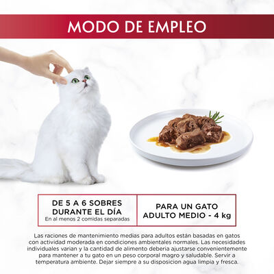 Comida h&uacute;meda gato Purina carne pack 6