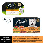 Comida húmeda perro César recetas de la huerta pack 4