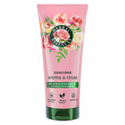 Acondicionador Herbal Essences 250ml suavidad aroma a rosas