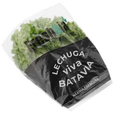 Lechuga batavia Fresquia 1ud