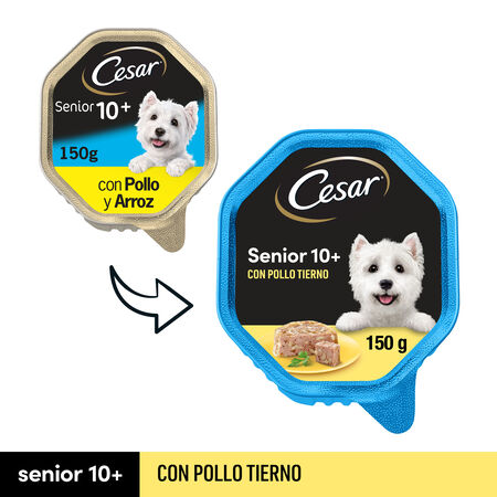 Comida húmeda perro César senior pollo arroz 10+ 150g