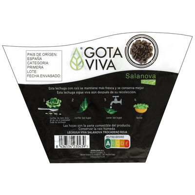 Lechuga viva trocadero verde 1ud