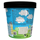 Helado tarrina Ben and Jerrys chocolate Fudge Brownie 465ml