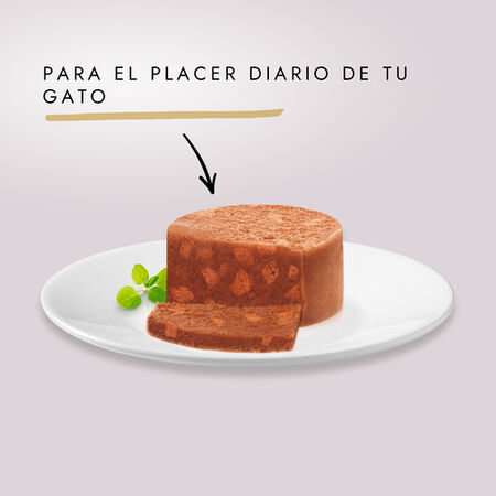 Comida húmeda gato Gourmet Gold tarrina pollo 85g