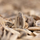 Piponazo Grefusa 195g original