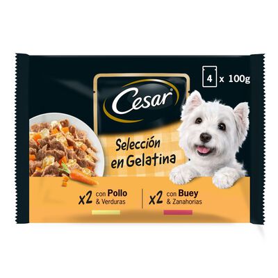 Comida h&uacute;meda perro C&eacute;sar pollo buey verdura pack 4