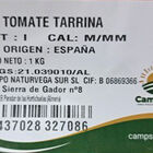Tomate bandeja 1k