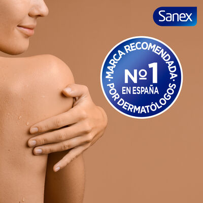 Desodorante stick Sanex pH Balance Dermo 24h Protector 65ml