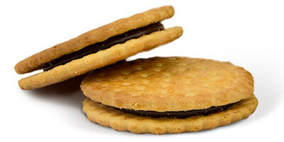 Galletas de chocolate sin az&uacute;car zero Gull&oacute;n 250g
