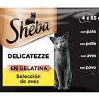 Sheba Delicatezze Comida H&uacute;meda para Gatos Selecci&oacute;n de Aves en Gelatina Multipack 4x85g
