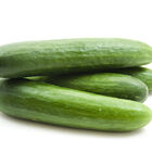 Pepino bandeja 830g aproximadamente