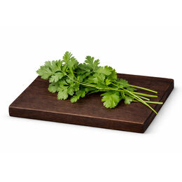 Cilantro bolsa 20g