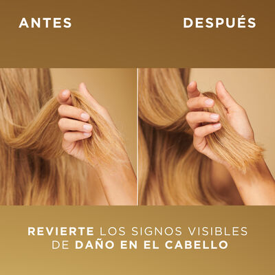 Champ&uacute; Pro-V Pantene 250 ml Bond repair