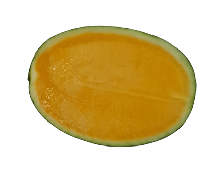 Sandia Orange Sunglow