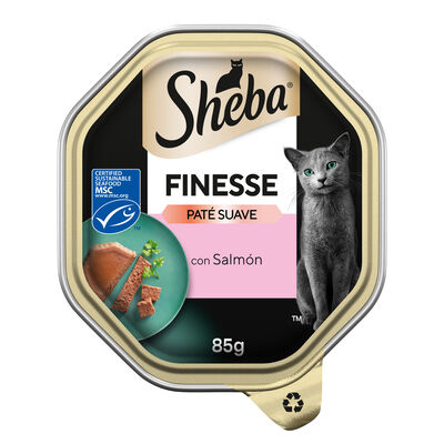 Alimentacion gato Sheba Finesse Tray Salmón 85g