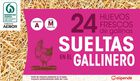 Huevos de gallinas sueltas en el gallinero Alipende 24u "clase m"