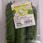 Pepino crujiente bandeja 500g