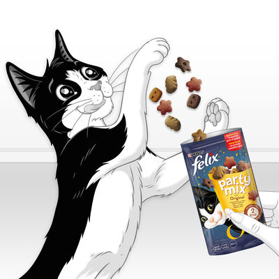 Snack gato F&eacute;lix Pary Mix 60g