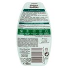 Champú détox Garnier Original Remedies 300ml todo tipo cabello