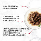 Comida h&uacute;meda gato Purina carne pack 6