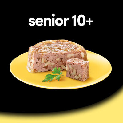 Comida h&uacute;meda perro C&eacute;sar senior pollo arroz 10+ 150g