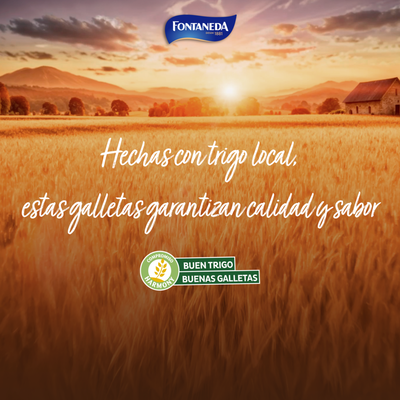 Galleta integral Marielu Fontaneda 520g