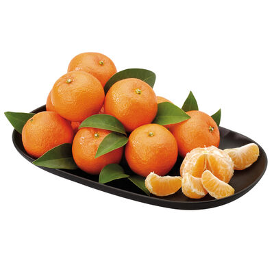 Clementina-mandarina Fontestad