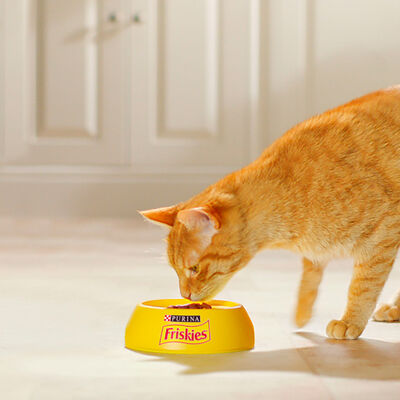 Alimento para gato Friskies buey pollo 400gr