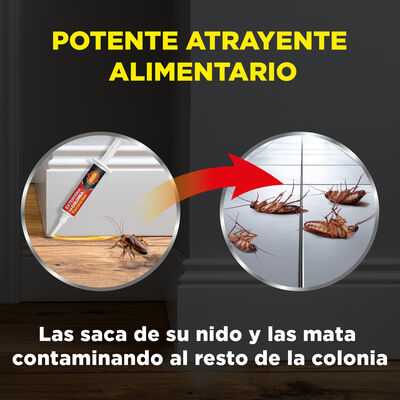 Insecticida jeringa Orion cucaracha elimina la colonia en 3 d&iacute;as