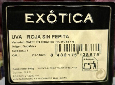 Uva roja sin semillas bandeja 500g