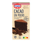 Cacao en polvo Dr Oetker 100g