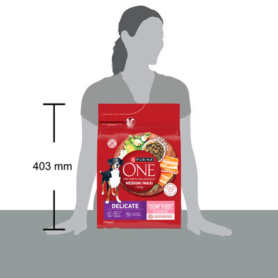 Alimento para perro PURINA ONE&reg; MEDIUM/MAXI >10kg Delicate Salm&oacute;n y Arroz 2,5kg