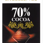 Chocolate negro Lindt excellence 100g 70% de cacao
