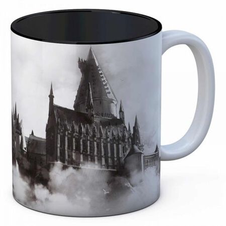 Taza cerámica Harry Potter SD Toys