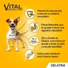Comida h&uacute;meda perro Pedigree carne mixta pack 4