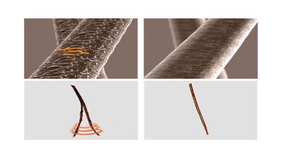 Champ&uacute; fortificante Fructis 380ml adi&oacute;s da&ntilde;os